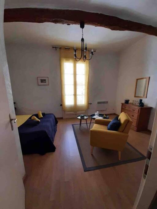 Saint-ThibéryHistoric French Townhouse别墅 外观 照片